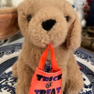 Plush Puppy Toy with Orange Trick or Treat Bag